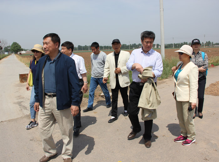 考察怀菊花种植基地.jpg