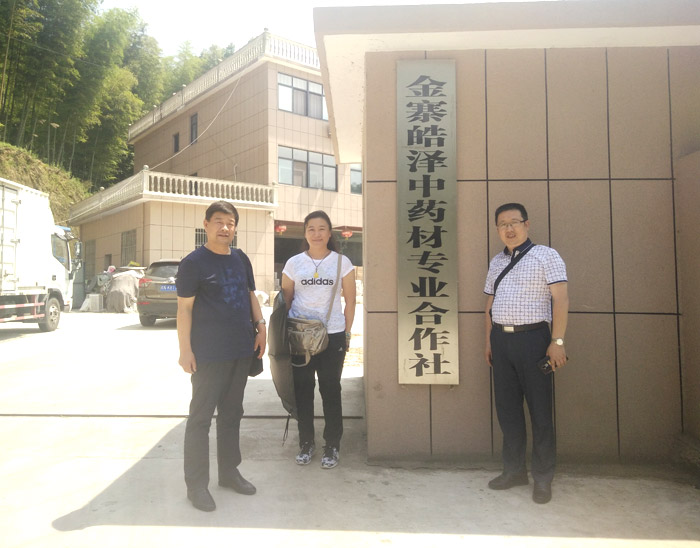 考察人员在安徽金寨皓泽中药材**合作社.jpg